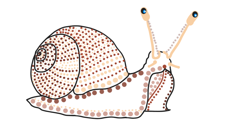 Snail illustration